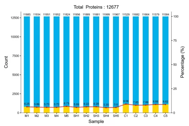 Protein Identification Summary Across Samples
